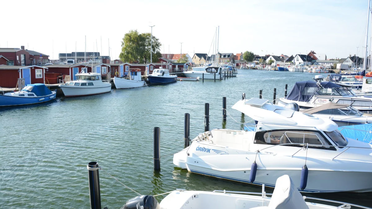 Een helder en uitnodigend havenbeeld met diverse aangemeerde boten, onder een strakblauwe hemel.