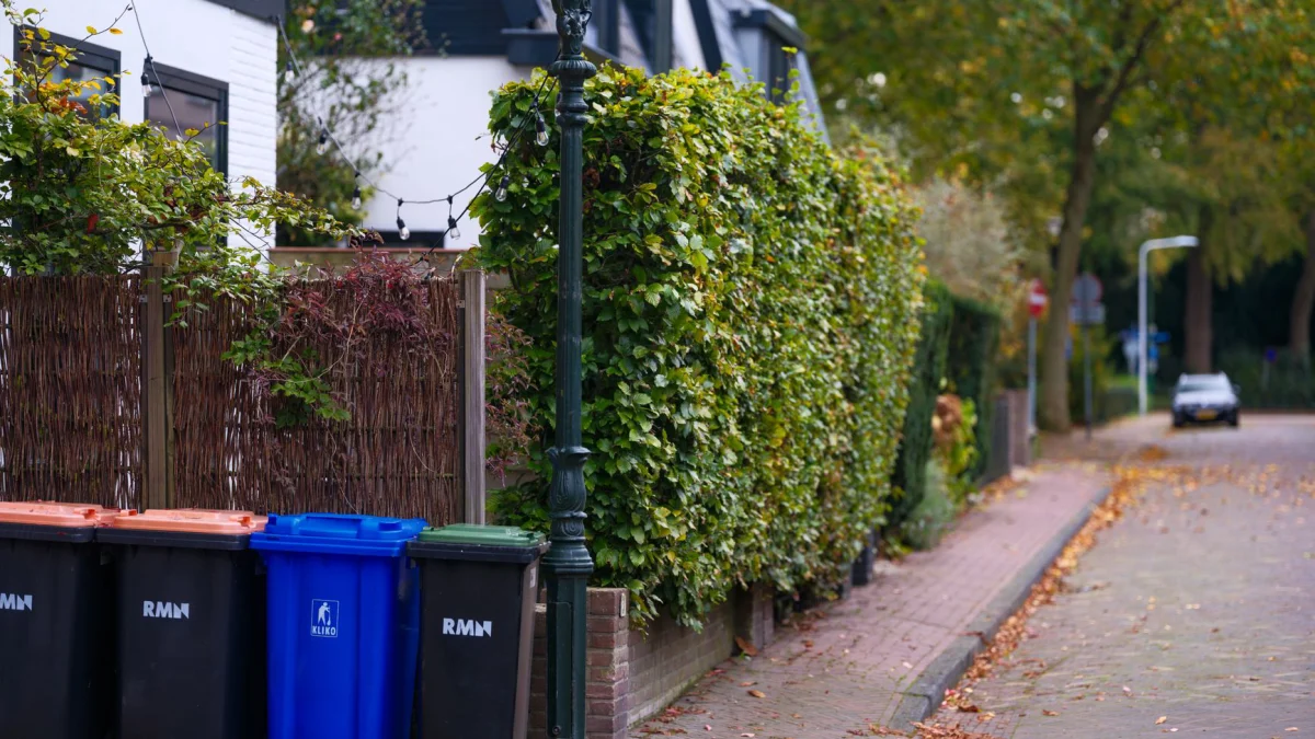 Een rustige woonstraat met recyclingbakken en weelderig groen. Herfstbladeren verspreid over de stoep.
